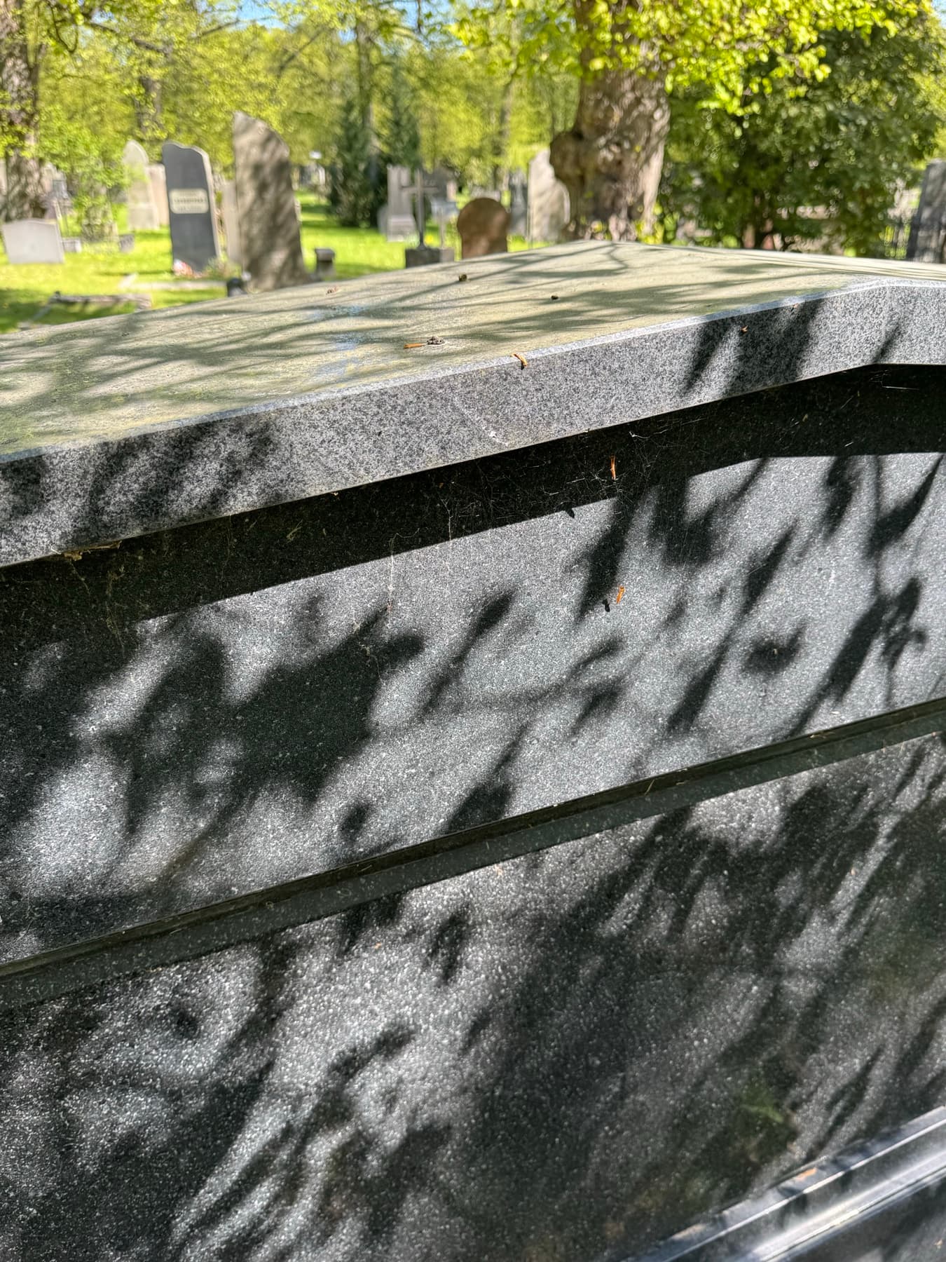 Gravsten före tvätt – täckt av spindelnät och damm