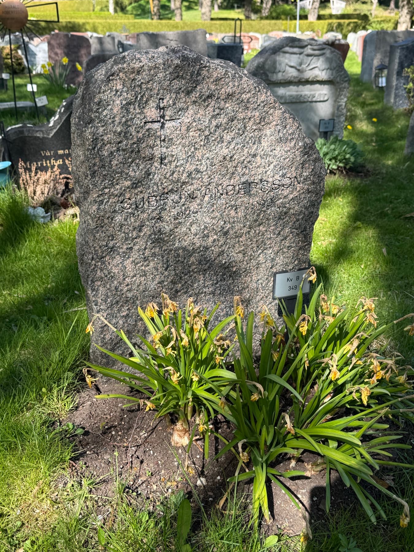 Gravplats före säsongsplantering — uttjänta, vissnande daglilior vid gravstenen