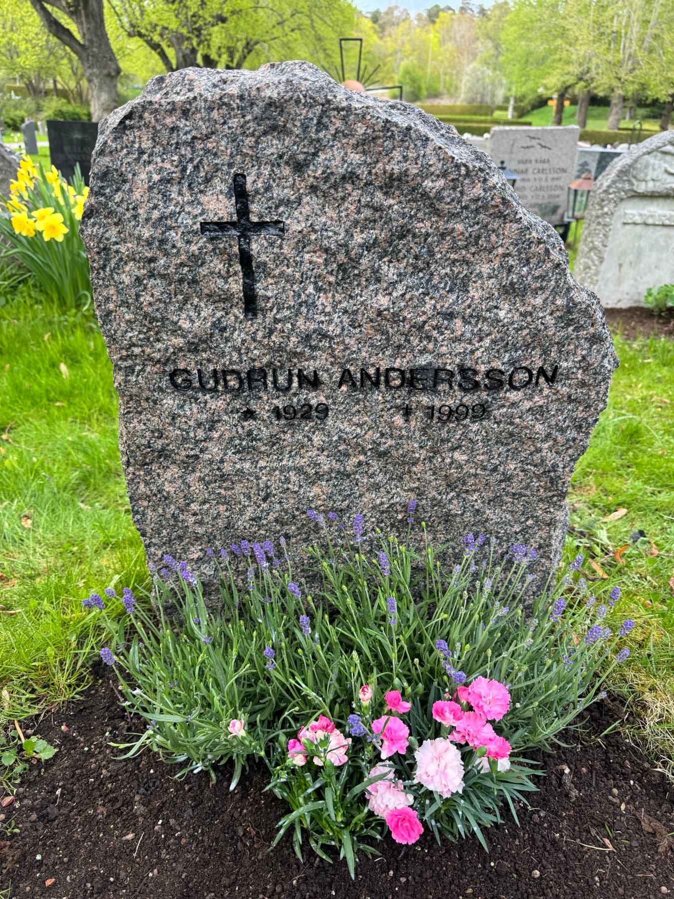 Samma gravplats efter säsongsplantering — nysatt lavendel och rosa nejlikor i frisk jord