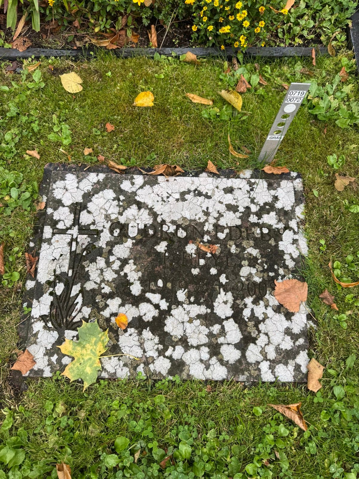 Liggande gravsten före tvätt – ytan nästan helt täckt av vit lav